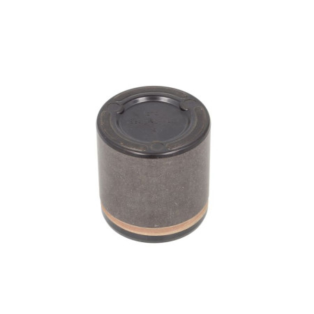 Piston, etrier frana Pistoan etrier Fata 54mm 565mm  FORD USA F-150 4.2/4.6/5.4 10.03- BBP 7956BBP