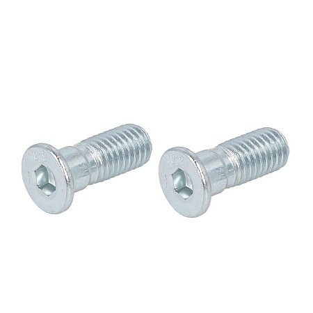 Surub, disc frana surubul de fixare a discului de frana Fata/Spate M10x15x27 2 bucati in pachet FORD GALAXY I GALAXY MK I SEAT ALHAMBRA VW SHARAN TRANSPORTER IV 1.8-2.8 07.90-03.10 QUICK BRAKE QB11675K