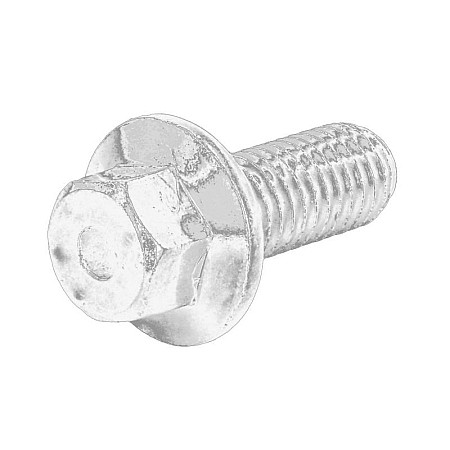 Capac, curea dintata Capac distributie bolt/surub PERKINS PERKINS 2314H003