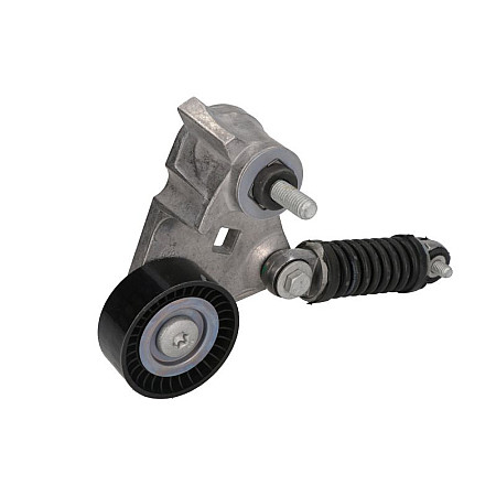 Intinzator,curea transmisie Rola curea de transmisie - alternatora    FORD Mondeo 2.0TDCI 00- SNR GA352.59