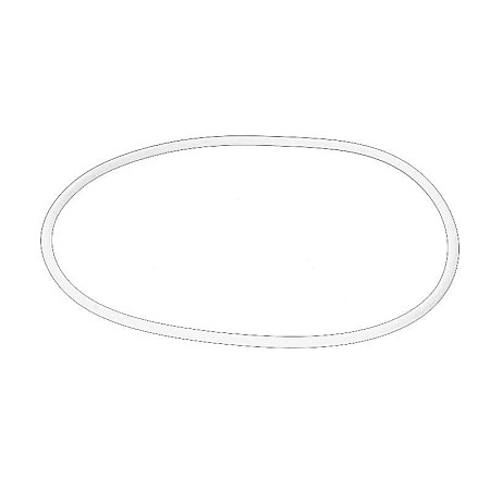 Set inele O camasa piston cilindru ORing OE IVECO 99456553
