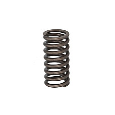 Arc supapa Valve spring CATERPILLAR C4.2: JKH1-UP C6.4: GDC1-UP FP DIESEL 2941688-FP
