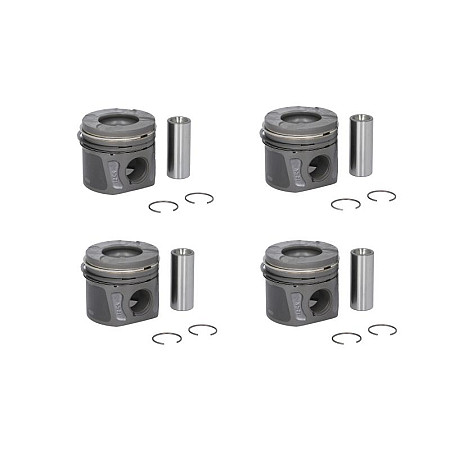 Piston 696 STD ALFA ROMEO MITO FIAT DOBLO DOBLO CARGO GRANDE PUNTO IDEA LINEA PUNTO EVO PUNTO EVO/HATCHBACK LANCIA MUSA YPSILON OPEL AGILA ASTRA H ASTRA H GTC 1.3D 06.03- NE 130035001800