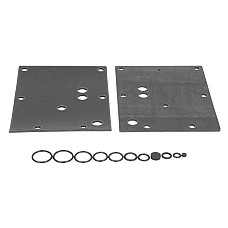 Kituri de reparare a reductorului Vaporizer repair kit reducer: IMPCO GENIUS MAX BRC LPG BRC/3