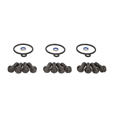 Set reparatie,sistem common-rail Trusa de reparatie sectiune sistem DV4 DW10B DW10TD set de suruburi si inele pentru trei sectiuni VDO X39-800-300-004Z