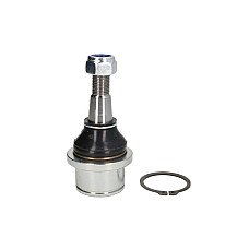 Articulatie sarcina/ghidare Pivot axa fata DODGE RAM RAM 1500 3.7-6.7 10.08- TEN CAR S062TC