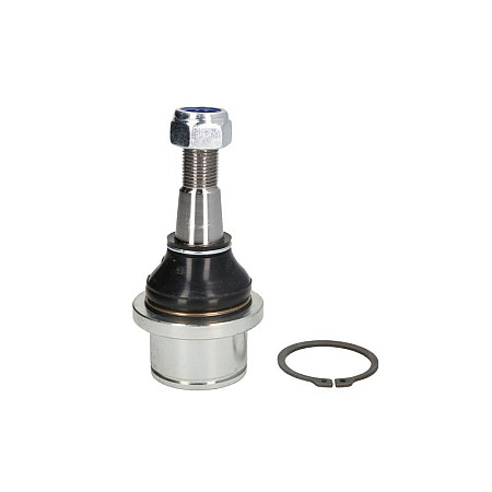 Articulatie sarcina/ghidare Pivot axa fata DODGE RAM RAM 1500 3.7-6.7 10.08- TEN CAR S062TC