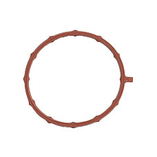 Garnitura, galerie admisie Intake manifold gasket BF115 BF135 BF150 SIERRA INTERNATONAL LLC 18-0300