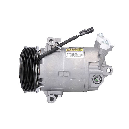 Compresor, climatizare Air-conditioning compressor NISSAN QASHQAI I 1.6-2.0D 02.07-04.14 AIRSTAL 10-1848