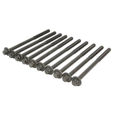 Set surub chiulasa bolturi BMW ELRING EL233370