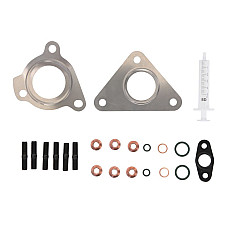 Set montaj turbo RENAULT LAGUNA II (BG0/1_) EVORON EVMK0008