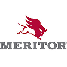 Set reparatie, diferential Rear axle tube repair kit MERITOR MERITOR MER KIT2638