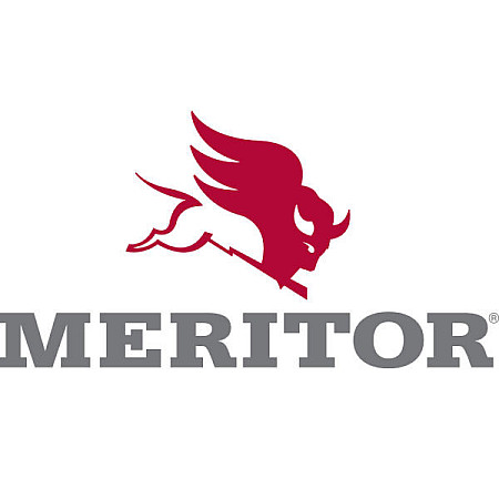 Set reparatie, diferential Rear axle tube repair kit MERITOR MERITOR MER KIT2638
