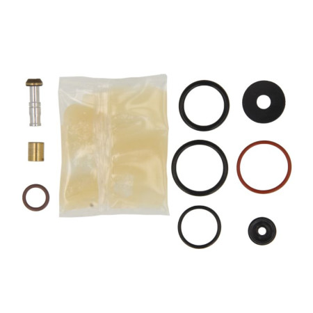 Set reparatie, supapa frana - frana de serviciu Kit de reparare a valvelor EGR potriveste: 4088537 SCANIA 4 R WACH-MOT WT/TSK.32.4