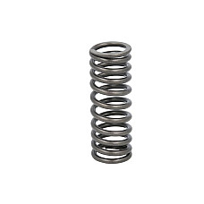 Arc supapa Valve spring FP DIESEL 2244441-FP