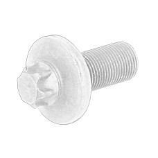 Bol intinzator lan de distribuie Surub distributie  1 E81 1 E82 1 E87 1 E88 1 F20 1 F21 2 F22 F87 3 E90 3 E91 3 E92 3 E93 3 F30 F80 3 F31 1.6D/2.0D 12.04- OE BMW 13 52 7 800 395