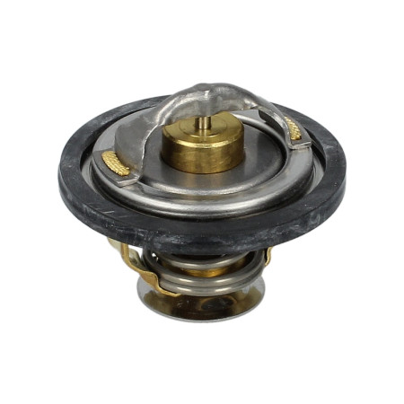 Termostat,lichid racire Termostat sistem racire 76C RVI B MASCOTT MESSENGER OPEL ARENA RENAULT MASTER I TRAFIC 2.4D/2.5D/2.8D 08.80-06.04 WAHLER WA4151.76D