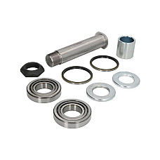 Set reparatie, fuzeta (suport arc) Kit pivot BOVA VDL BPART B20229287ZST