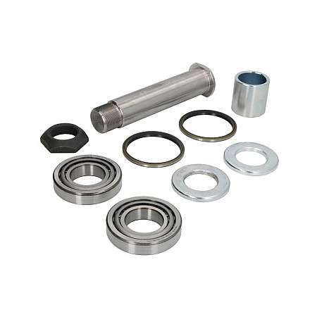 Set reparatie, fuzeta (suport arc) Kit pivot BOVA VDL BPART B20229287ZST