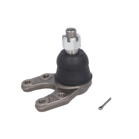 Articulatie sarcina/ghidare Pivot axa Dreapta/Stanga inferior fata diametru con 177mm FORD RANGER MAZDA B-SERIE 2.2D/2.5D 01.85-11.06 555 SB-1522