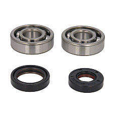 Set reparare de arbore cotit Crankshaft bearings set with garnituri KAWASAKI KX 125 1992-2003 HOT RODS K235