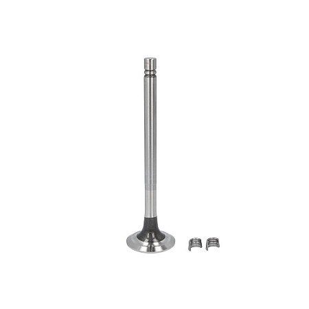 Supapa evacuare Exhaust valve FP DIESEL 3803519-FP