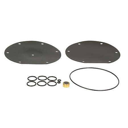 Kituri de reparare a reductorului Vaporizer repair kit reducer: VSI PRINS B/ C/ D PRINS LPG 180/10020/Z