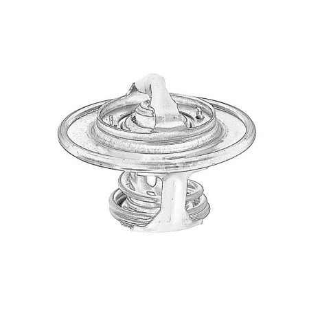Termostat,lichid racire Cooling system thermostat OE IVECO 504380075P