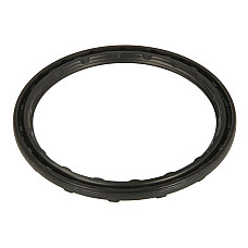 Set reparatie, diferential Control arm repair kit track control arm oil seal CARRARO CARRARO 148688-CR