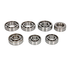 Set lagare, cutie viteze manuala Transmission repair kit YAMAHA YFM YXR 550/700 2007-2015 HOT RODS TBK0079