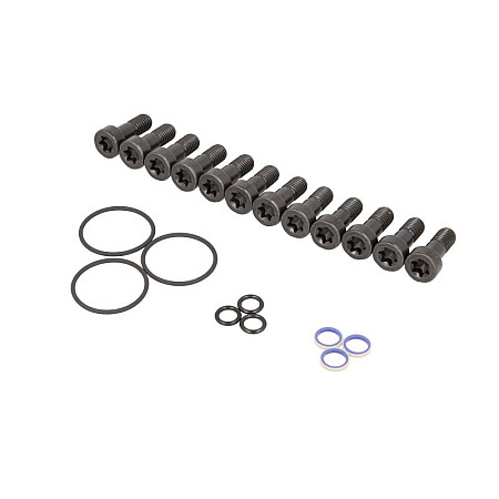 Set reparatie, pompa combustibil Section gasket set injection system Lion V6 VDO A2C59512214