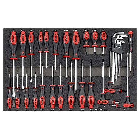 Unelte (inserturi) pentru carucioare Introduceti tava cu instrumente pentru carucior setul de instrumente 35 szt. dimensiune cartus: 570x370 mm SONIC 603506