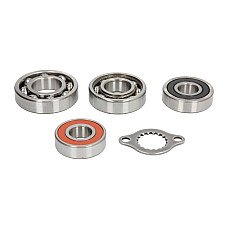 Set lagare, cutie viteze manuala Transmission repair kit HONDA TRX 400 1999-2004 HOT RODS TBK0011