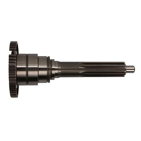 Arbore intrare, cutie de viteza Arbore ambreiaj 10z ZF ECOSPLIT ECOSPLIT III NEW ECOSPLIT 16 S 181 16 S 221 IT 16 S 221 PTO 16 S 221 SFA 16 S 2321 TD 16 S 2520 TO C.E.I 190303