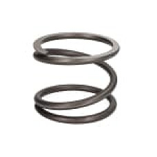 Set reparatie, diferential Differential element spring  DANA SPICER DANA SPICER 000.3427313M1-DANA