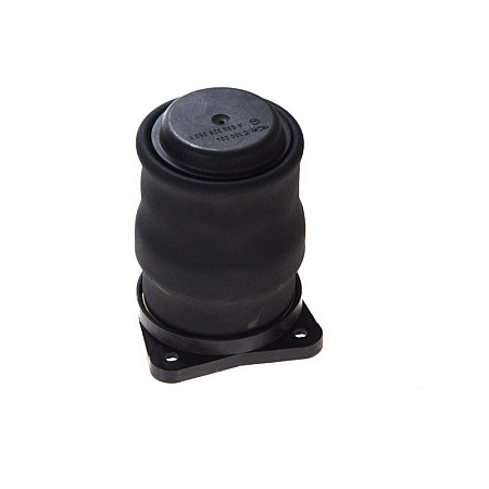 Burduf, suspensie pneumatica Supa de suspensie pneumatica spate R Spate Dreapta/Stanga MERCEDES V 638/2 VITO W638 02.96-07.03 PHOENIX C 100 004 52091