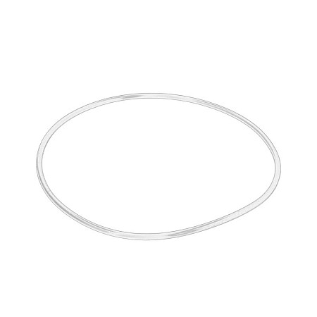Set inele O camasa piston cilindru ORing OE IVECO 99456554