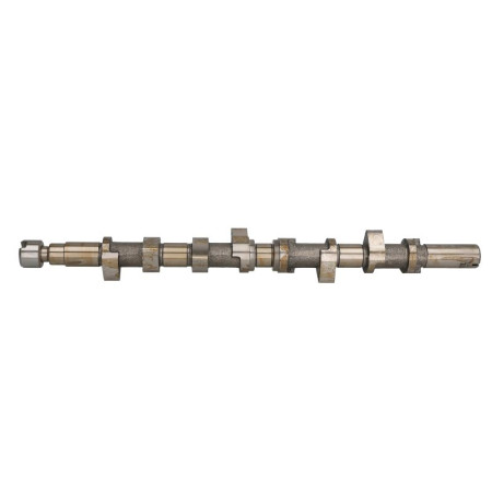 Ax cu came Arbore cu came RENAULT ESPACE IV GRAND SCENIC II LAGUNA II MASTER II MEGANE I MEGANE I CLASSIC MEGANE II SCENIC I SCENIC II TRAFIC II 1.9D 03.99- AMC AMC647261
