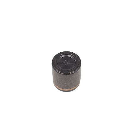 Piston, etrier frana Pistoan etrier Fata/Spate DODGE DAKOTA FORD USA F-150 3.7-5.4 10.03- BBP 7931BBP