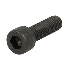 Surub imbinare, ax cardanic Ring gear bolt price per 1pcs. ZF ZF 0636101052ZF