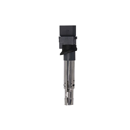 Bobina de inductie Beru aprindere Coil AUDI Q7-3.6FSI 08.06 BORGWARNER (BERU) ZSE 041 0040102041