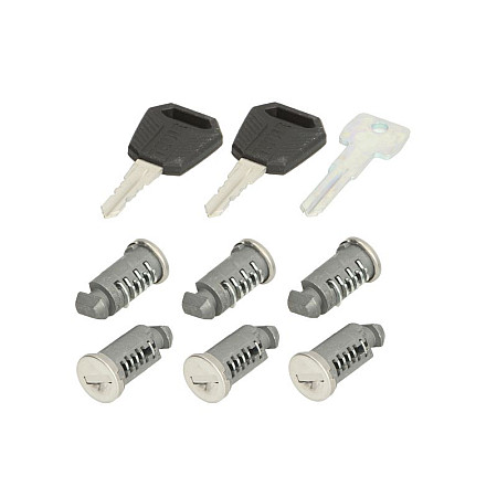 Set incuietoare, portbagaj pavilion Lock inserts 6 pcs THULE THU 450600