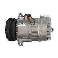 Compresor, climatizare CSV13 Calsonic Compresor de aer AIRSTAL 10-1550