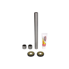 Set reparatie, bara stabilizatoare Control arm repair kit rear HONDA CRF 250 2019-2021 PIVOT WORKS PWSAK-H47-000