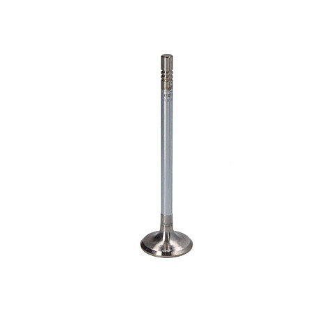 Supapa admisie 255x55x96 CITROEN BERLINGO MULTISPACE BERLINGO/MINIVAN C3 I C3 PICASSO C4 C4 GRAND PICASSO I C4 I C4 PICASSO I C5 II C5 III XSARA PICASSO 1.6D 11.03- NE 147037002700