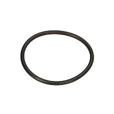 Inel de etansare Lower unit O-ring PARSUN F50 F60 PARSUN PAJASOF404-19