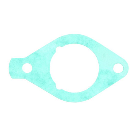Garnitura, galerie admisie Intake manifold gasket F20 F25 PARSUN F15ABML F15ABMS F15ABWL F15ABWL-EFI F15ABWS F15ABWS-EFI F15AFWL F15AFWL-EFI F15AFWS-EFI F20ABML F20ABMS F20ABWL-EFI F20ABWS-EFI F20AFWL-EFI PARSUN F20-05000008