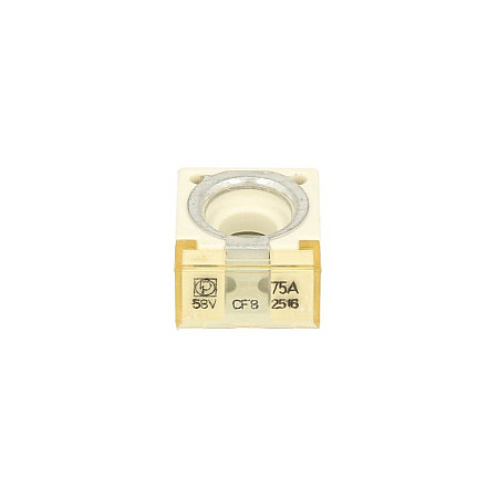 Siguranta Main fuse 75A BAR CARGOLIFT 101126338