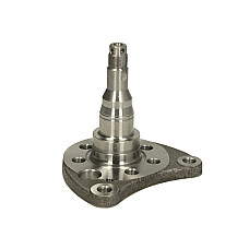 Articulatie directie, suspensie roata stecher butuc roata spate Dreapta Spate SEAT CORDOBA CORDOBA VARIO IBIZA II TOLEDO I VW CORRADO GOLF II GOLF III GOLF IV JETTA II PASSAT B3/B4 SCIROCCO 1.0-2.9 08.80-12.02 BTA H5W008BTA