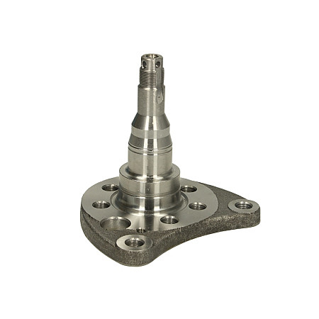 Articulatie directie, suspensie roata stecher butuc roata spate Dreapta Spate SEAT CORDOBA CORDOBA VARIO IBIZA II TOLEDO I VW CORRADO GOLF II GOLF III GOLF IV JETTA II PASSAT B3/B4 SCIROCCO 1.0-2.9 08.80-12.02 BTA H5W008BTA